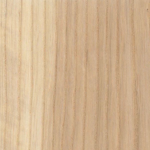  Ash American 19x21mm