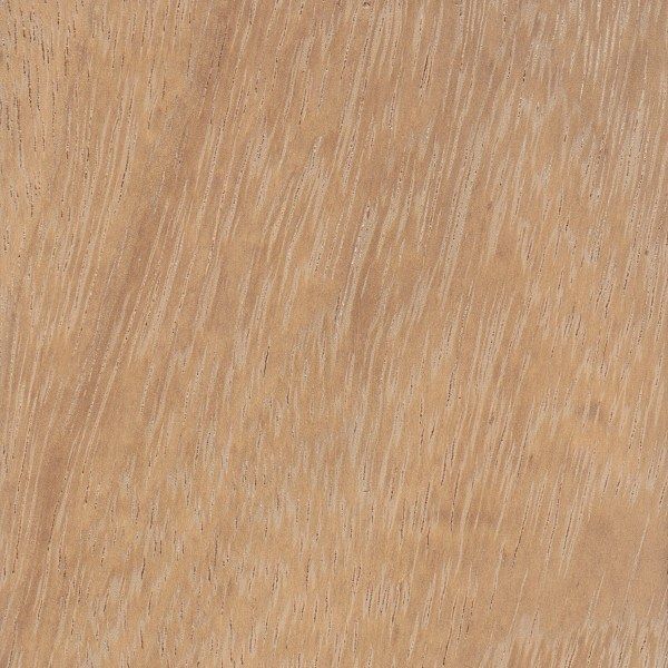  Iroko 34x21mm