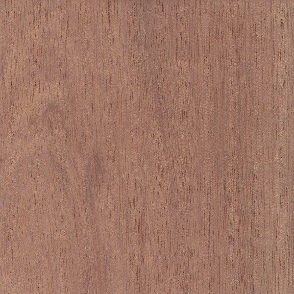  Sapele 46x21mm